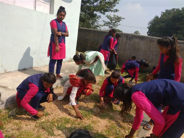 Girls College Balrampur | Government Girls College Balrampur - NSS Daily activities